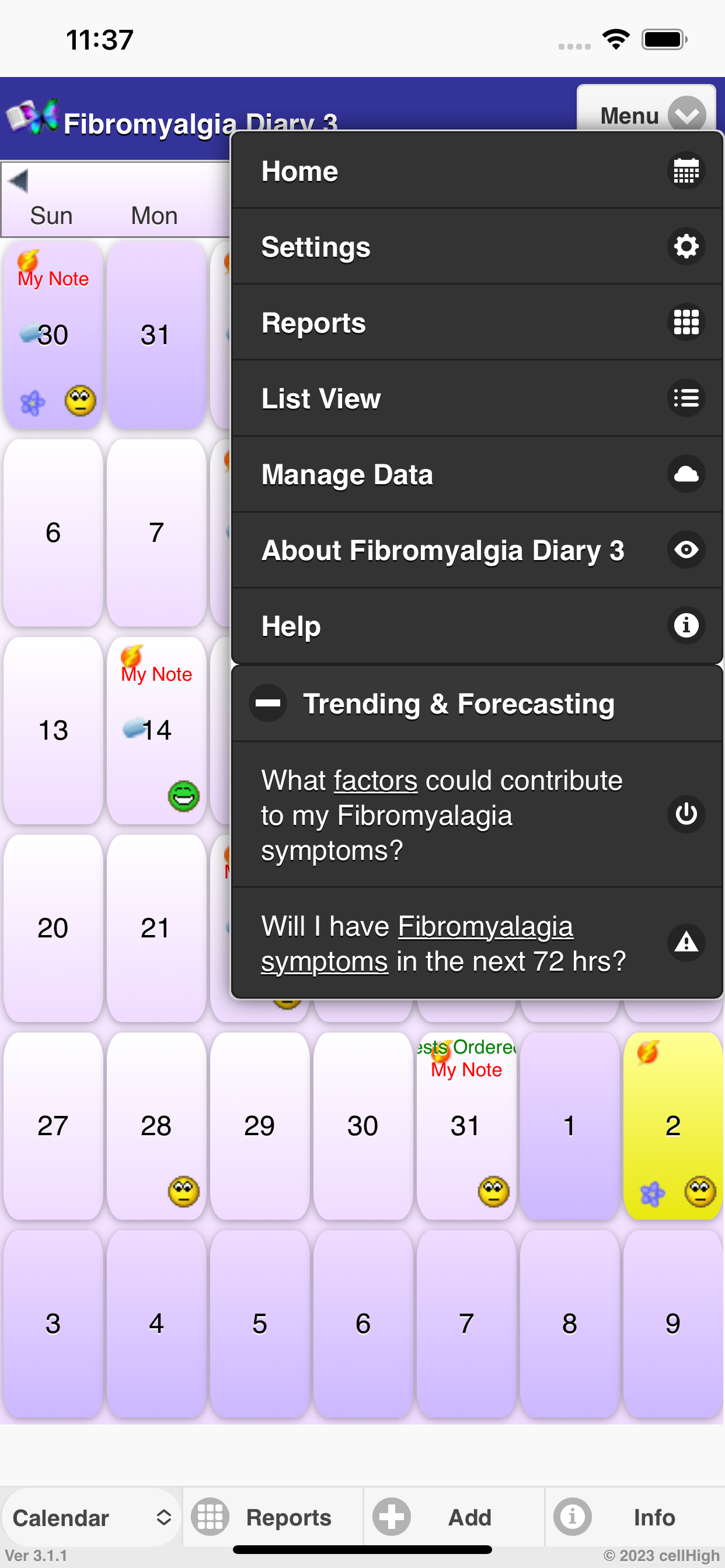 Fibromyalgia Diary 3