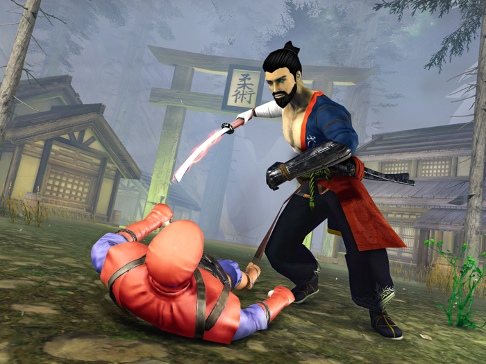 Shadow Ninja Assassin Fight