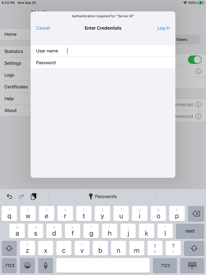 Citrix Secure Access client