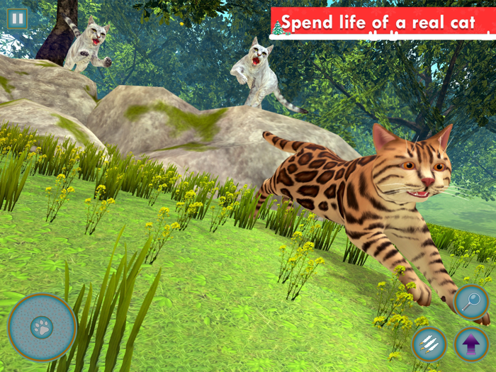 Kitty Cat Simulator