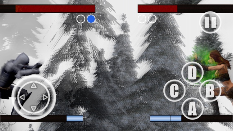 Fantasy Fighter screenshot-3