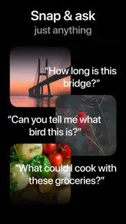 ai cam – ask vision gpt iphone screenshot 2