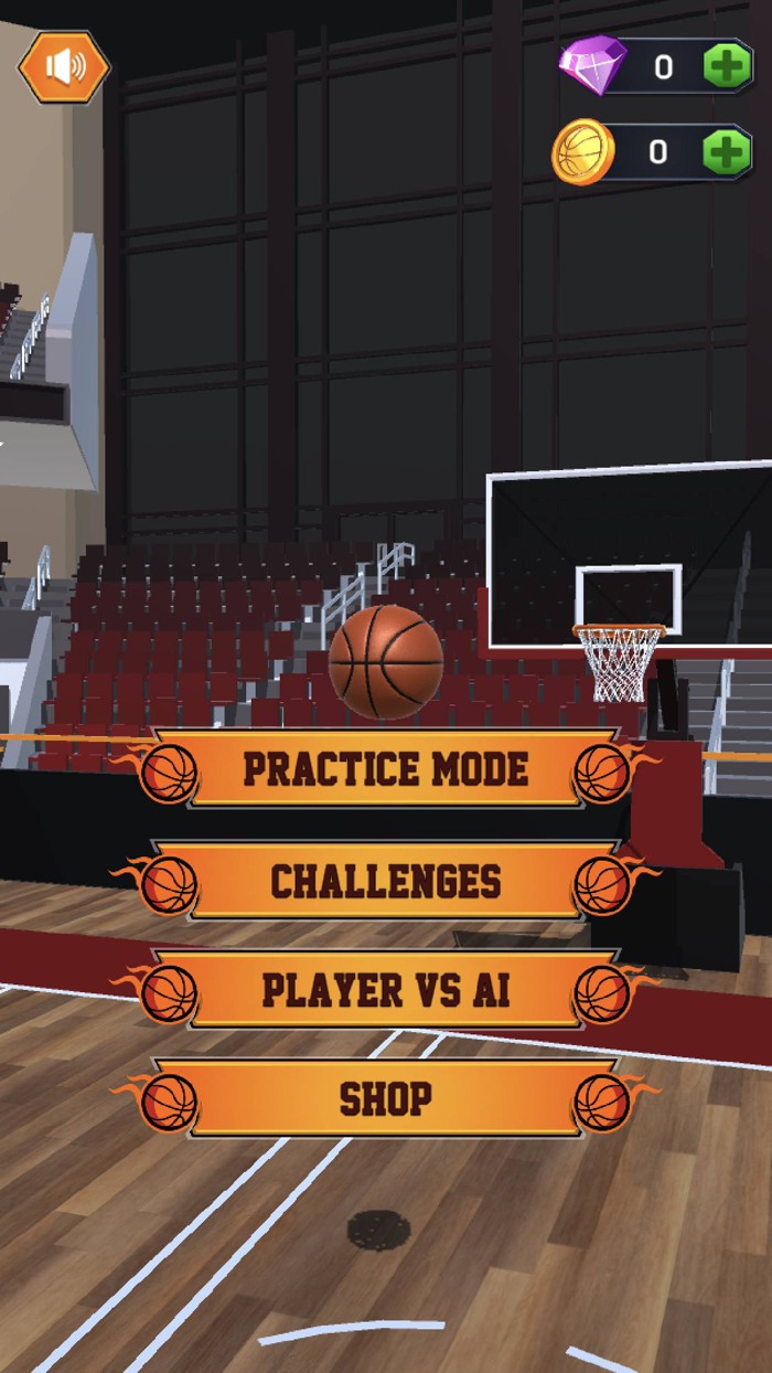 Basketball Court Training 3D