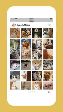 Game screenshot Superb Meow hack