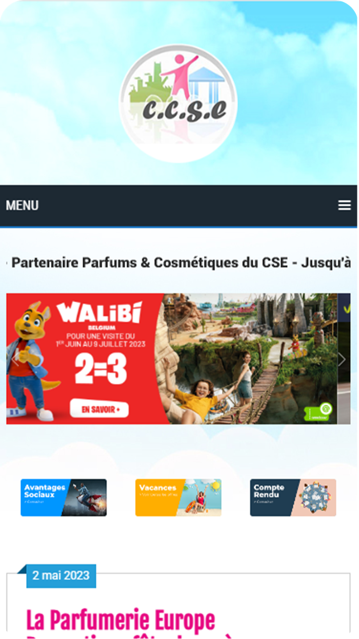 CCSE Papillons Blancs DK