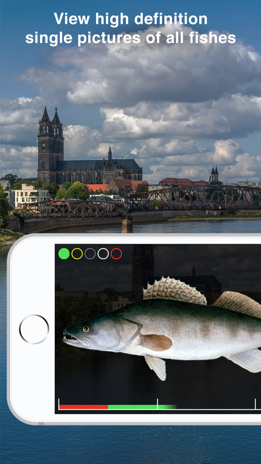 #4. Fishguide Saxony-Anhalt (iOS) By: Robin Schaefer