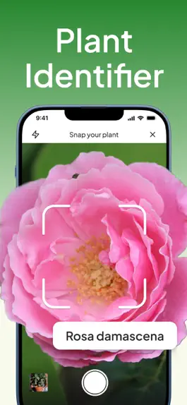 Game screenshot Определить растение по фото ИИ mod apk