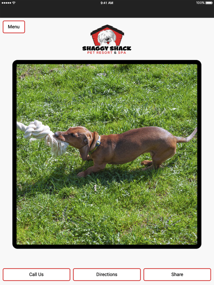 Shaggy Shack Pet Resort