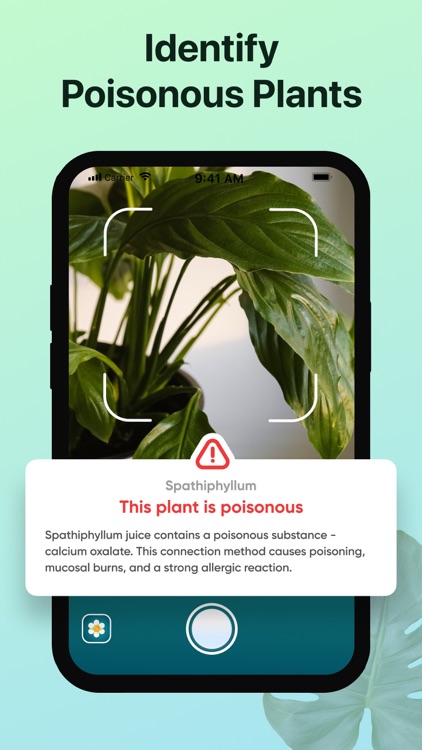 Plant, Flower Identifier&Care screenshot-5