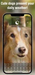 Dog Weather Live screenshot #8 for iPhone