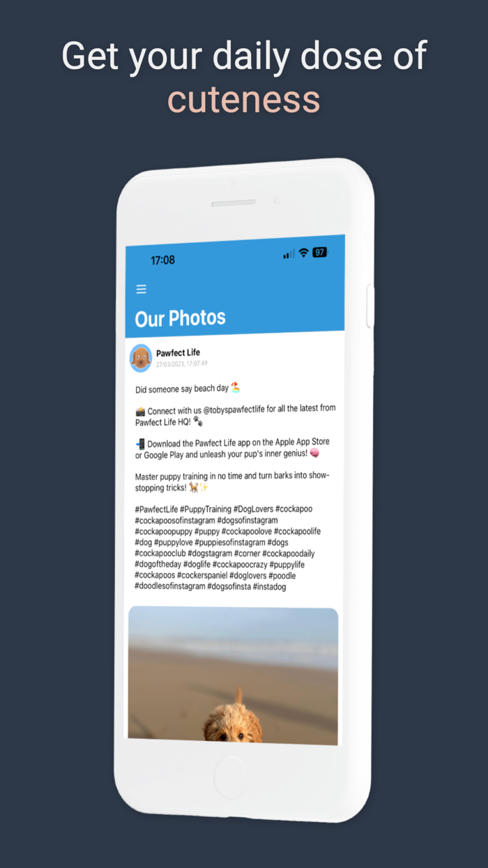 Pawfect Life - Puppy Training