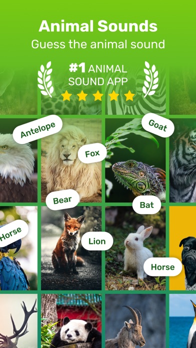 Guess Animal Sounds Screenshot