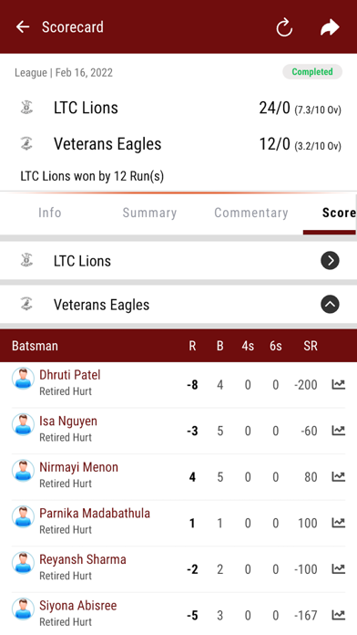 Superover Cricket Academy Screenshot