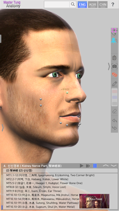 Master Tung`s Acupoint Anatomy Screenshot