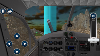 Sky Flight Sim Pilot's Life Screenshot