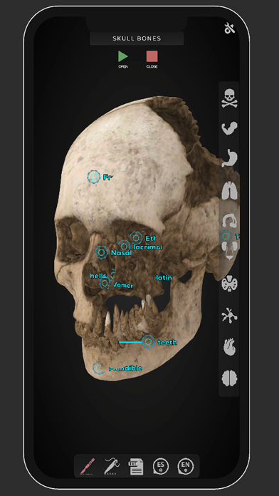 Virtual Medical Anatomy Screenshot