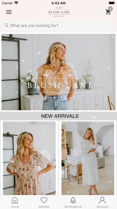 BLUSH LANE Screenshot