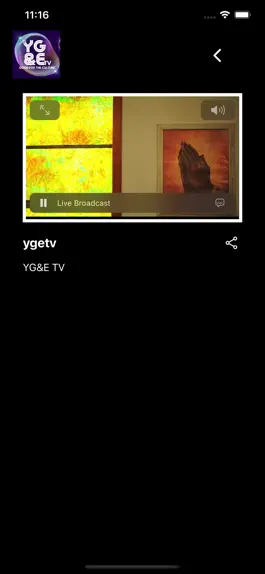 Game screenshot YG&E TV hack