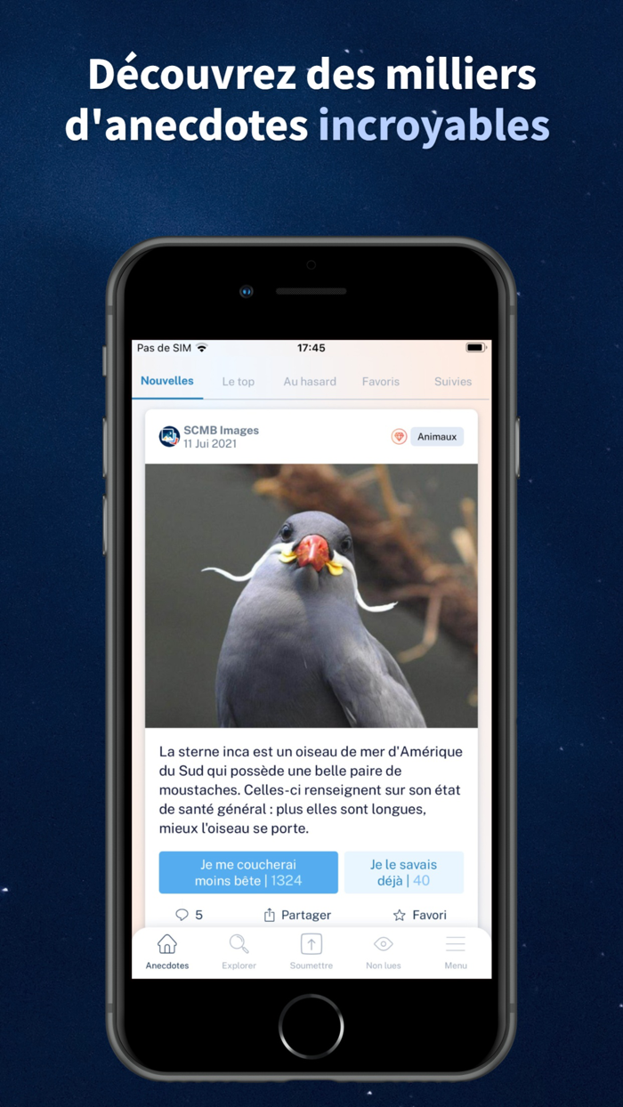 Se Coucher Moins Bête