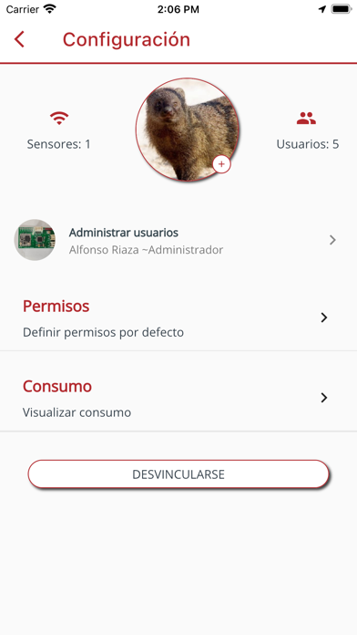 Renyn Screenshot