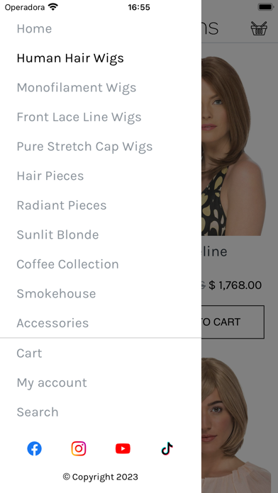 Estetica Designs Screenshot