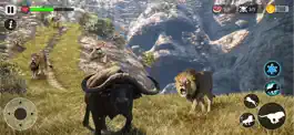 Game screenshot Lion Simulator Animal Survival apk