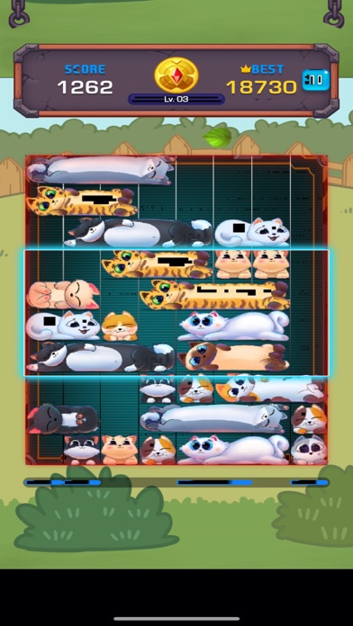 Cat Sort Jewel Puzzle Screenshot