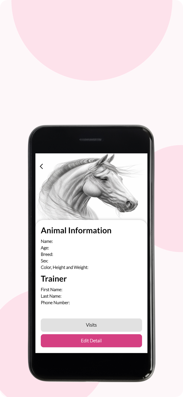 Inhand Equine Therapy