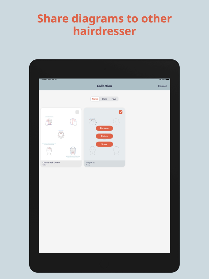 HairTech-Head Sheets