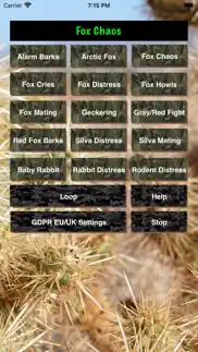 fox hunting calls problems & solutions and troubleshooting guide - 4
