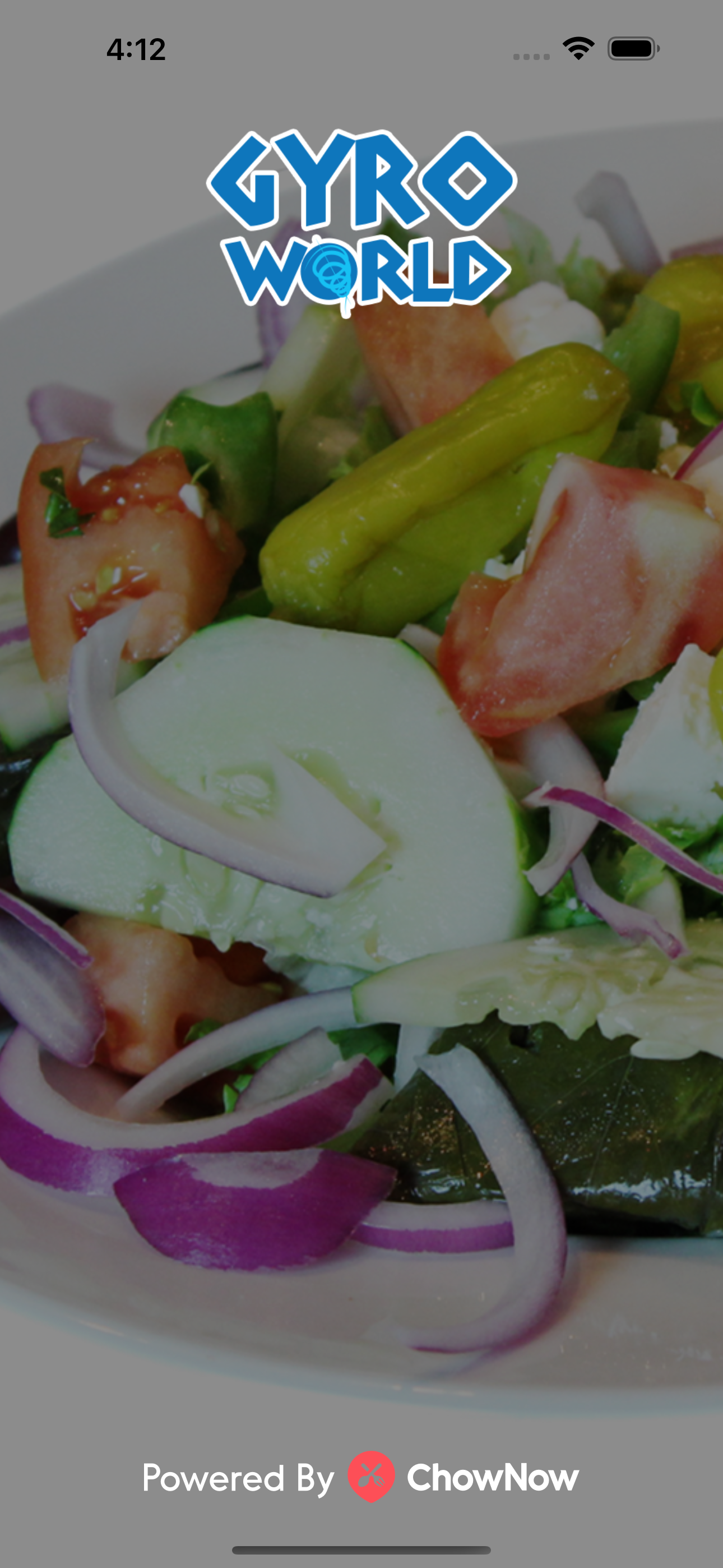 Gyro World NYC