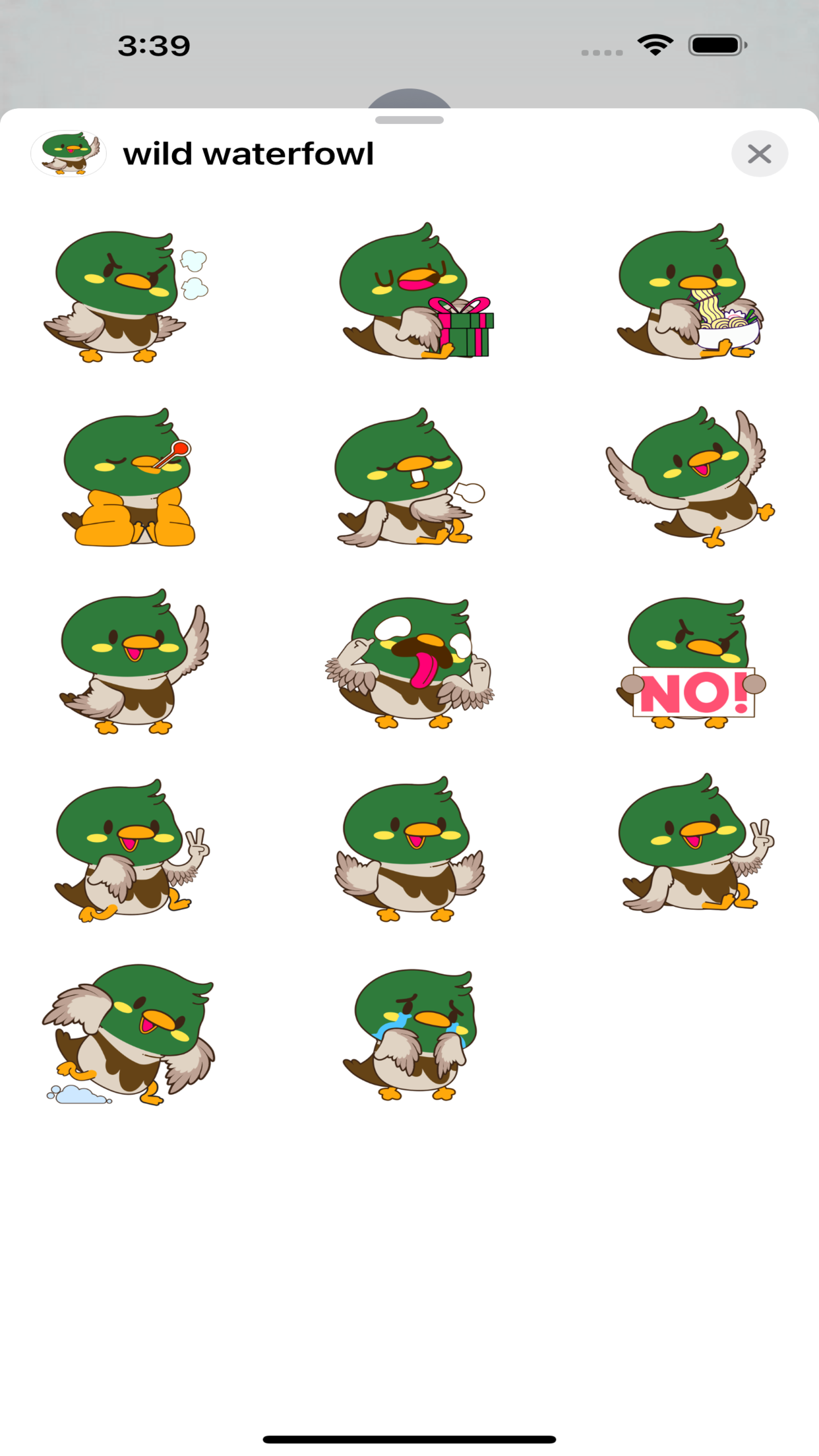 wild waterfowl