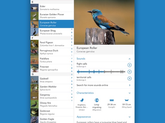 Vogels 2 LITE iPad app afbeelding 3