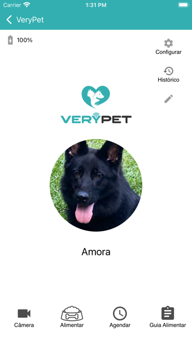 VeryPet Screenshot
