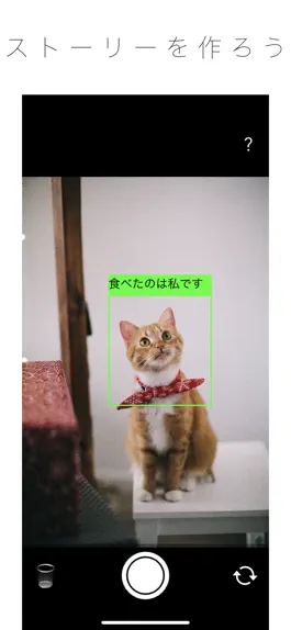 Game screenshot LikeCamera apk