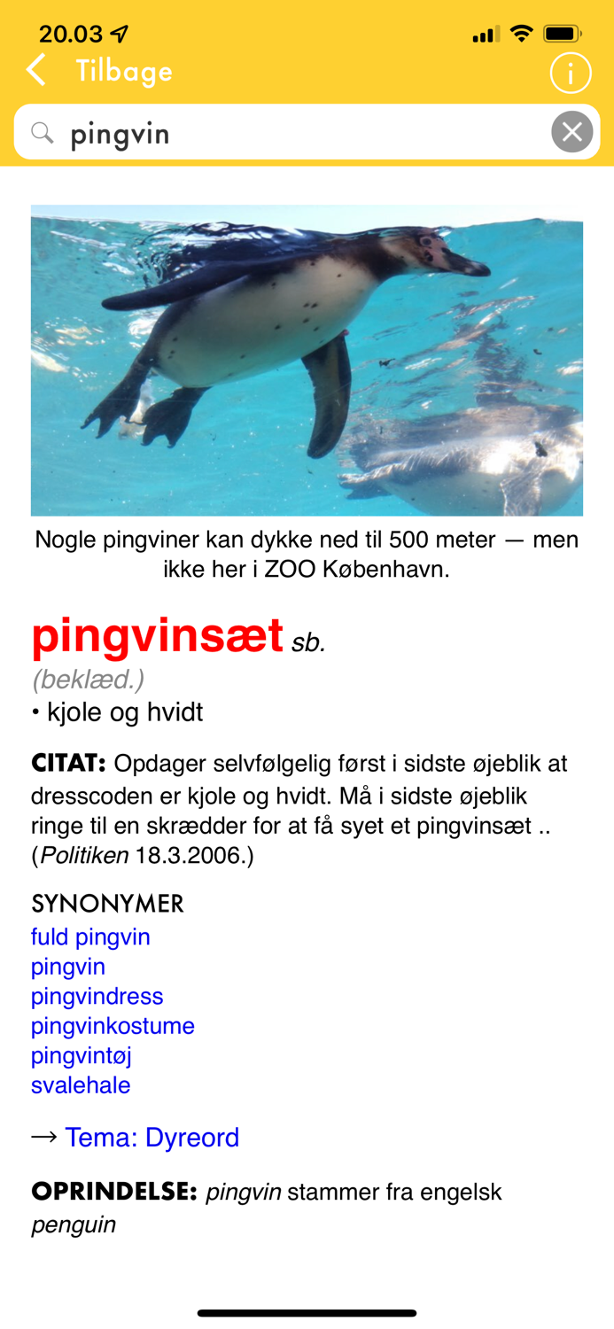 Danish Slang Dictionary