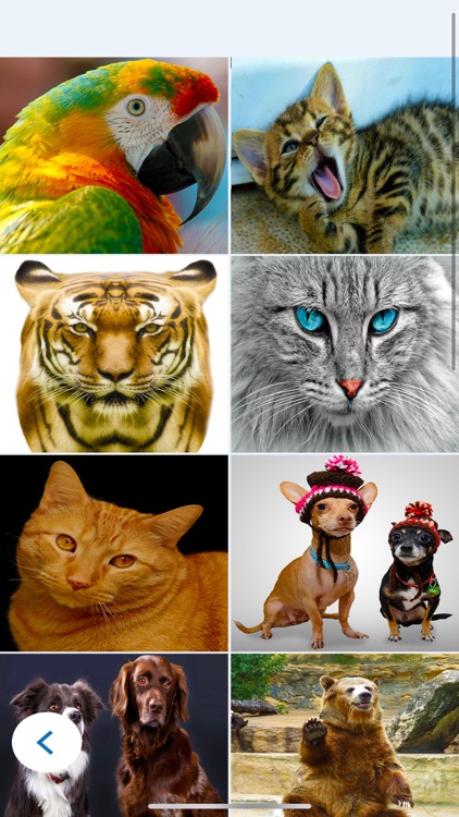 Zigzag Jigsaw screenshot-6