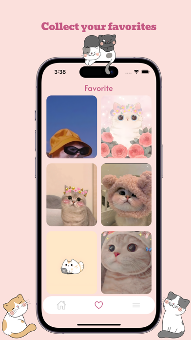 Meow Wallpapers Screenshot