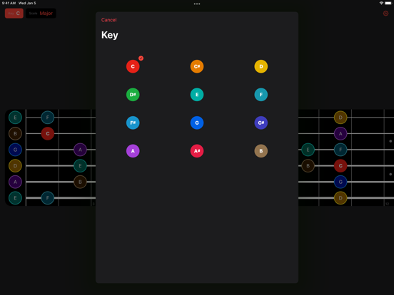 Guitar Scales + iPad screenshot 3 - Music app