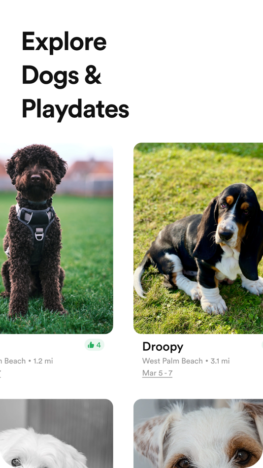 #1. Puppi (iOS) 由: Puppi Inc.