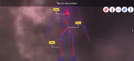 Game screenshot Vascular system apk