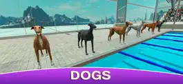 Game screenshot Dog Swimming Race mod apk