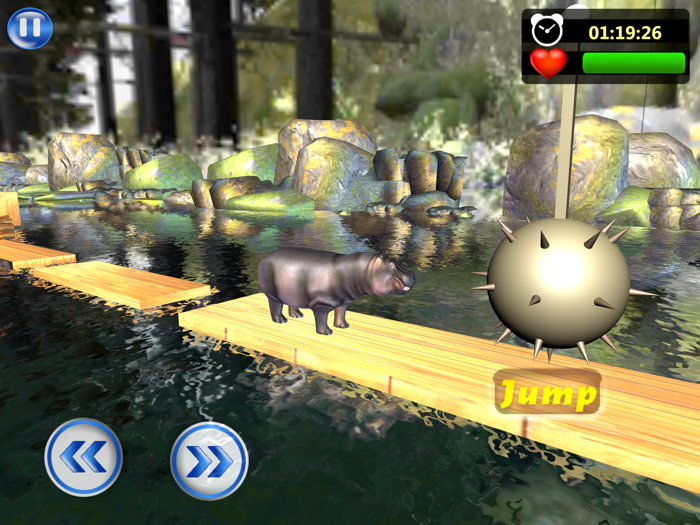 Animal Water Run-Safari Splash