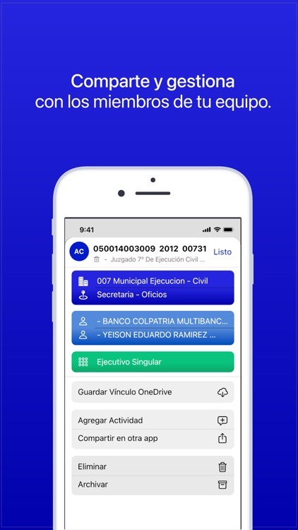 Litigiovirtual screenshot-4