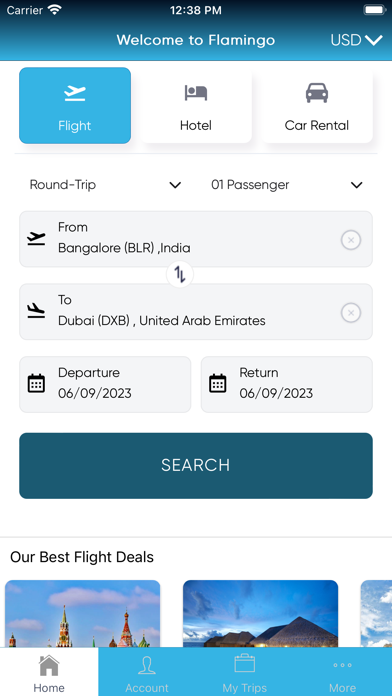 flamingo-travel Screenshot