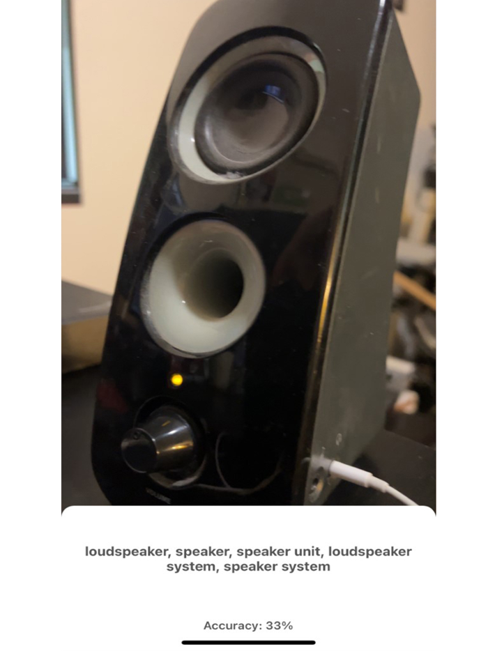 Recognizer AI Object Detector