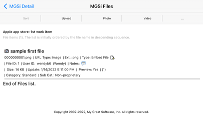 MGSi Screenshot