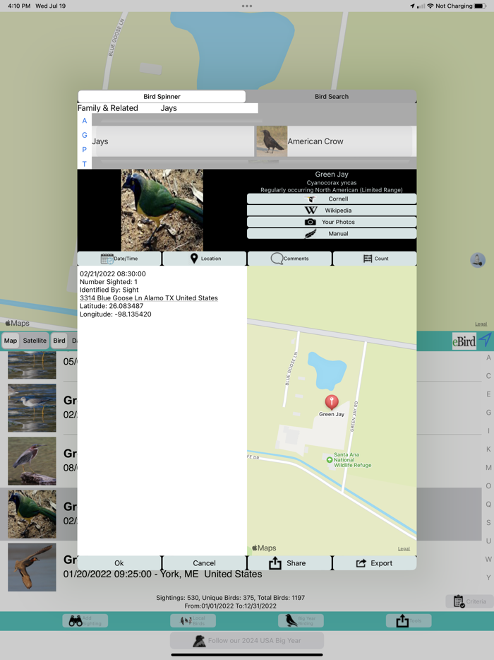 Big Year Birding ABA