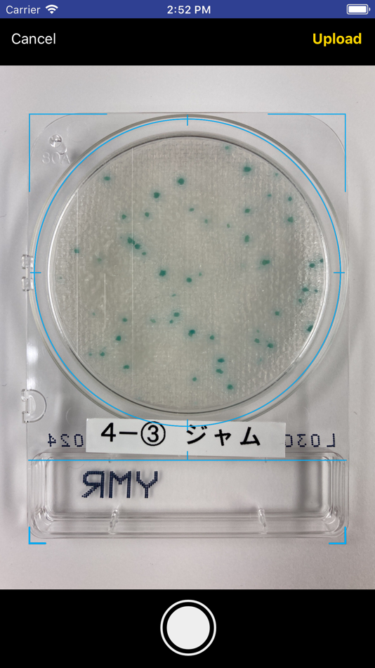 #2. @BactLAB (iOS) 게시자: Shimadzu Diagnostics Corporation