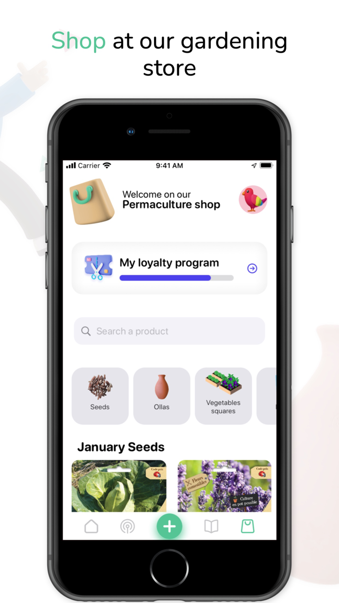 Tomate and Basilic- Permaculture